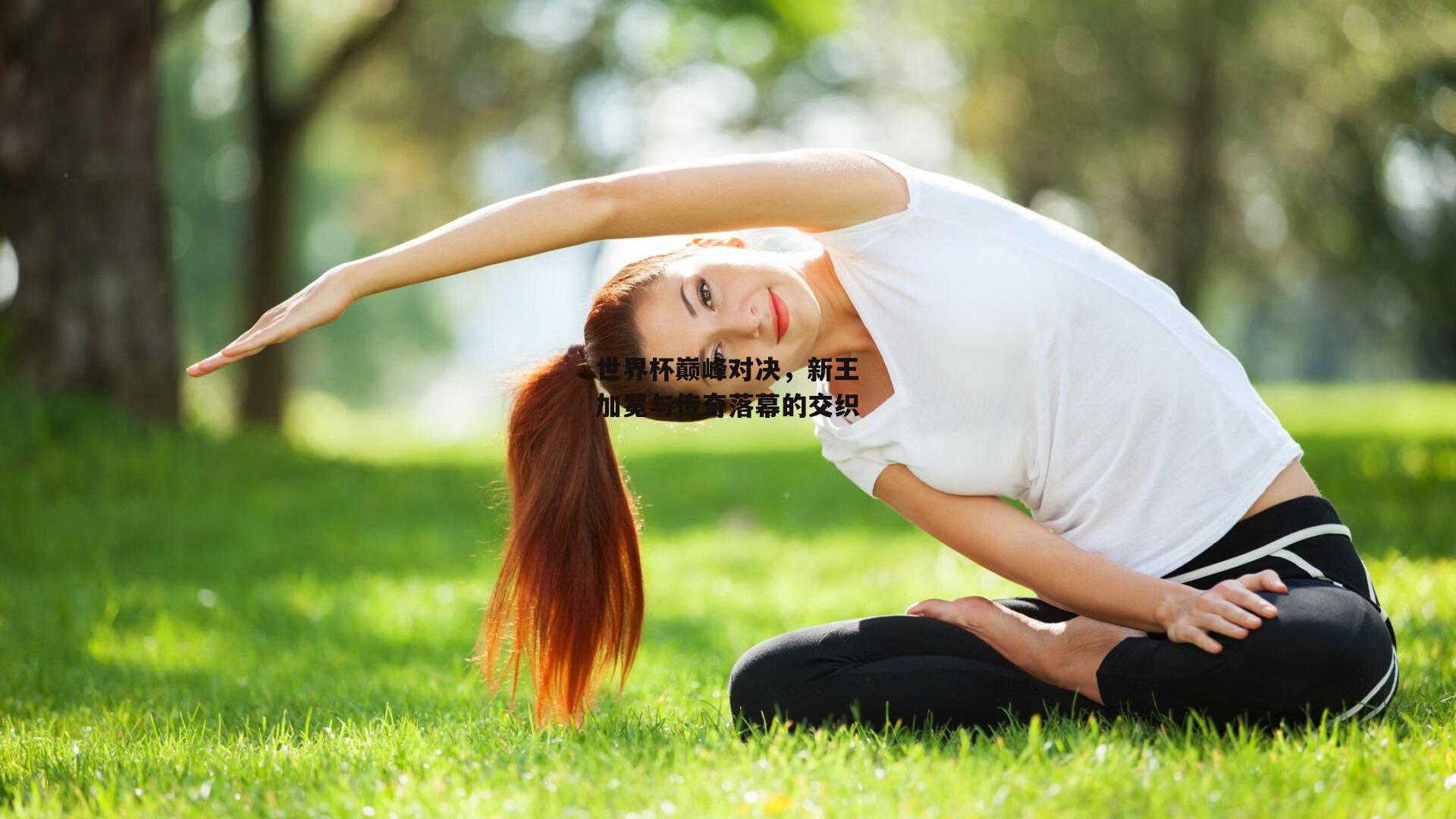 世界杯巅峰对决，新王加冕与传奇落幕的交织